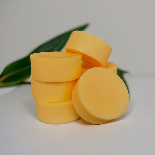 Citrus + Mint - Conditioner Bar for All Hair Types
