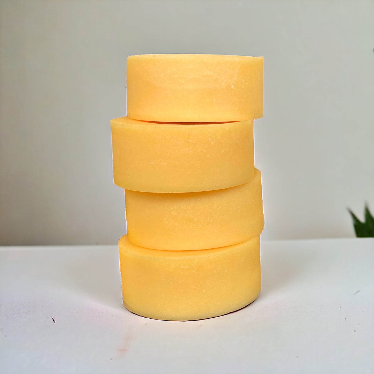 Citrus + Mint - Conditioner Bar