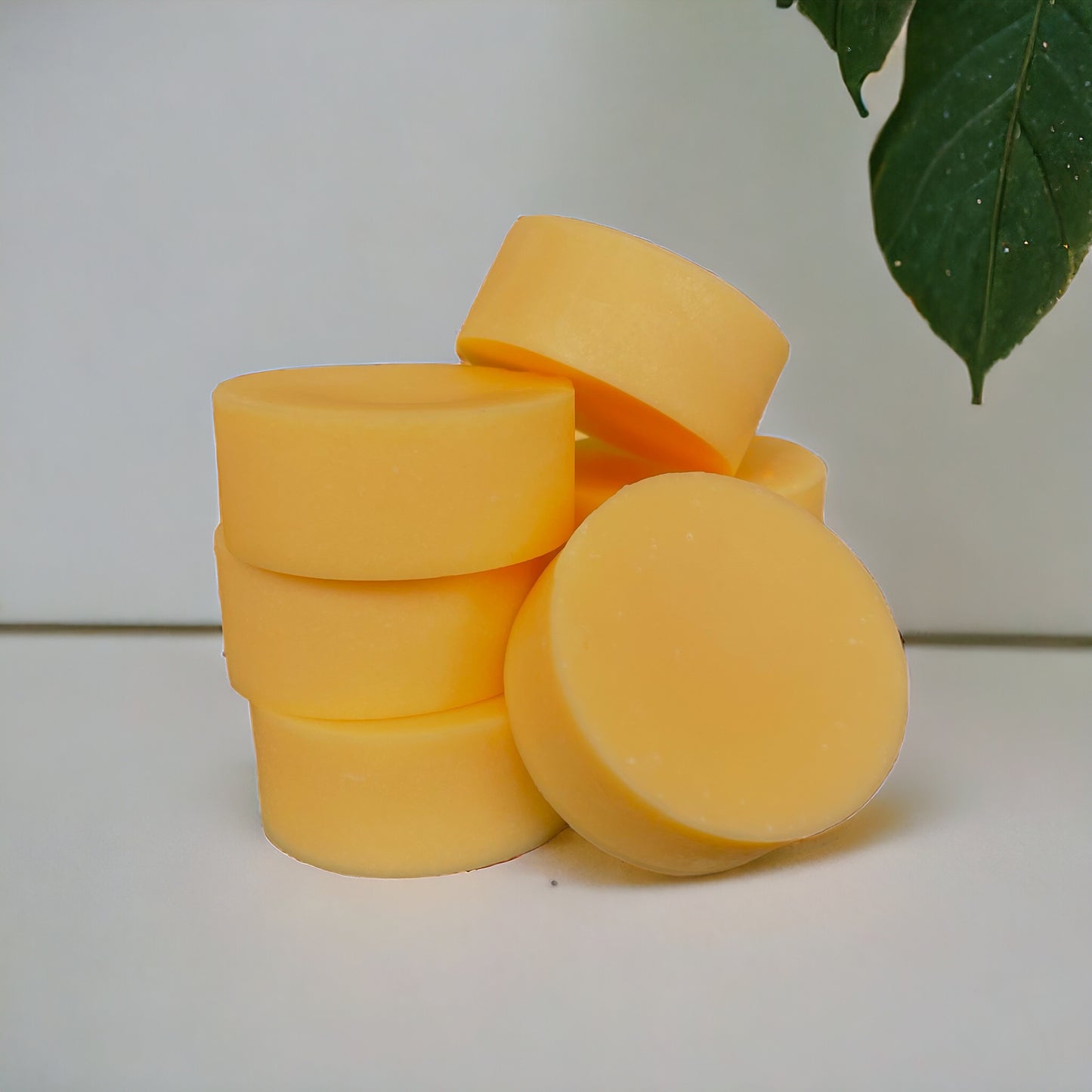 Citrus + Mint - Conditioner Bar